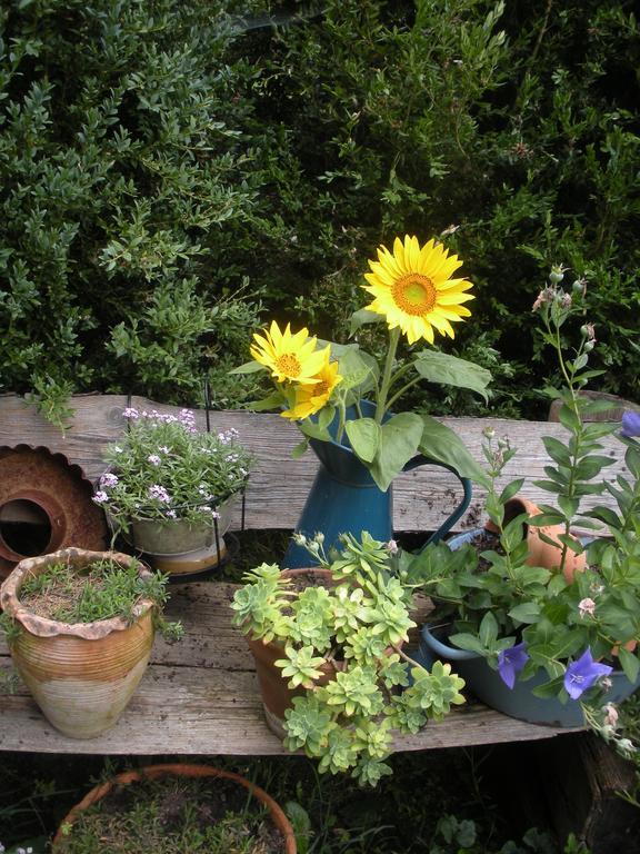 Bed and Breakfast Ferme Saint Joseph Le Fousseret Exterior foto