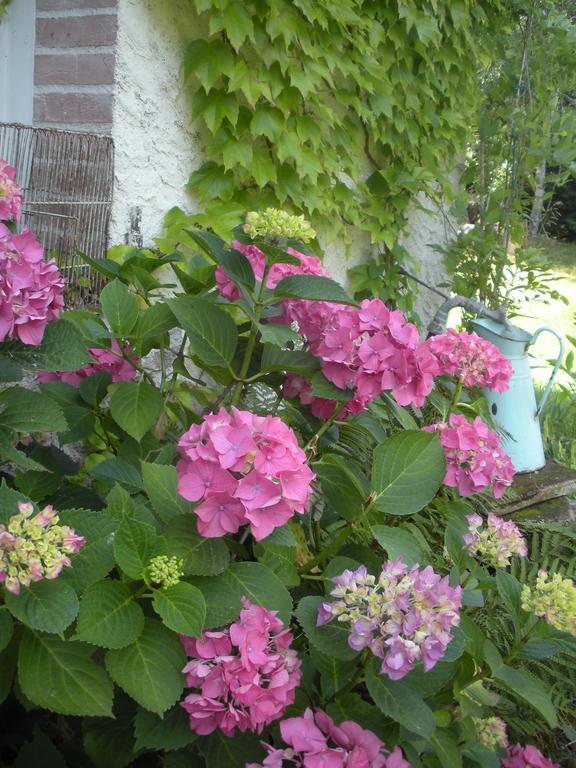 Bed and Breakfast Ferme Saint Joseph Le Fousseret Exterior foto